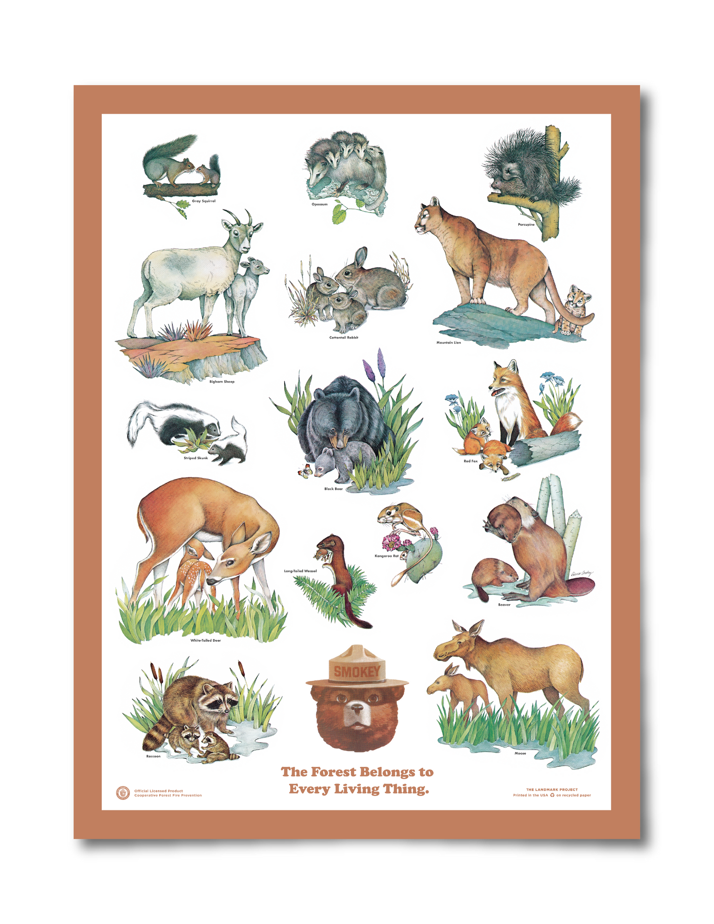 Baby Animals Educational Poster