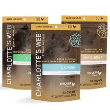 CW Herbal Skin & Allergy Pet Chew