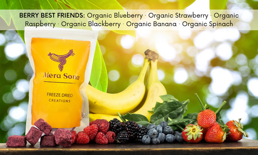 Mera Sona Berry Best Friend