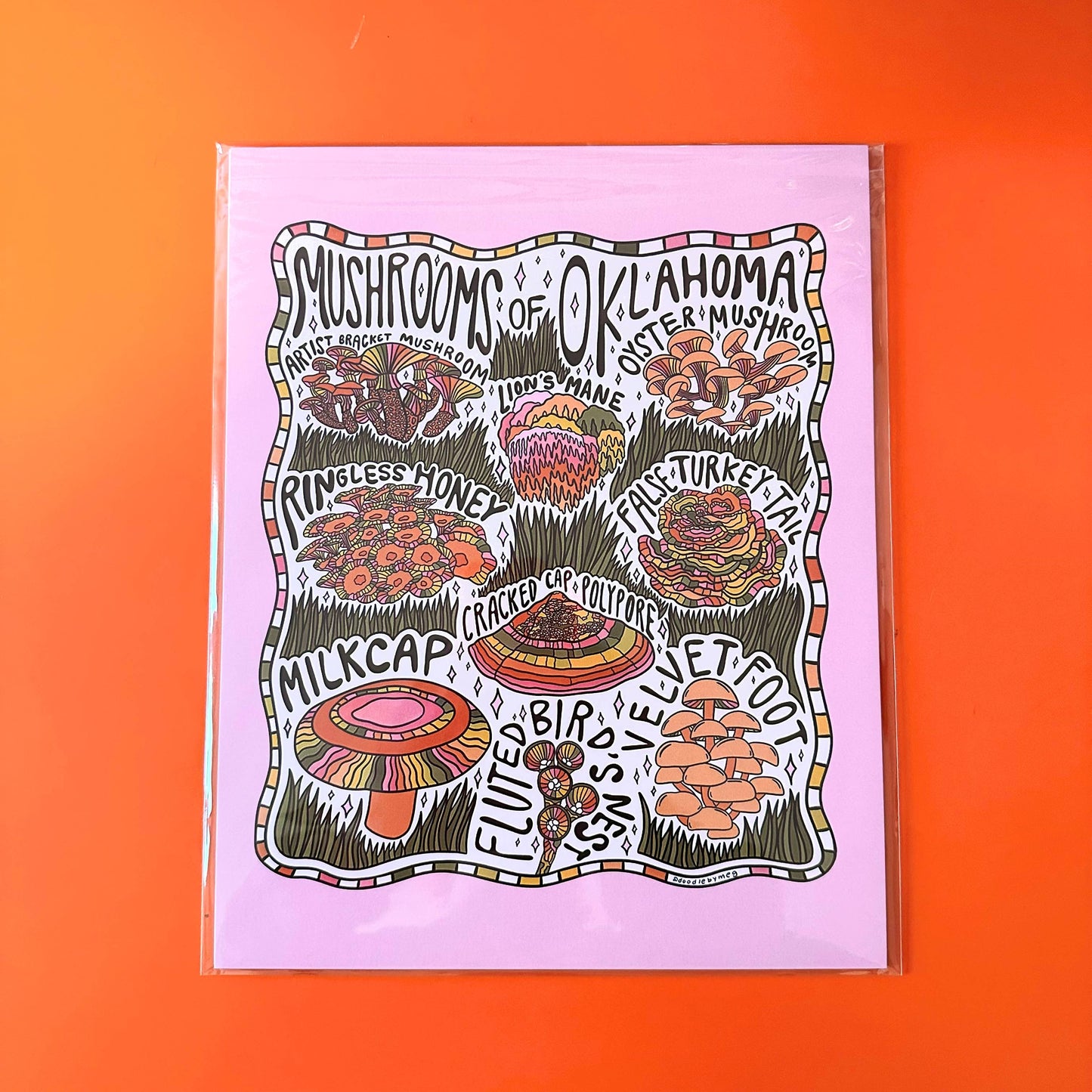 Mushrooms of Oklahoma Art Print
